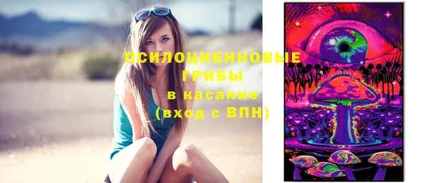дурь Абаза