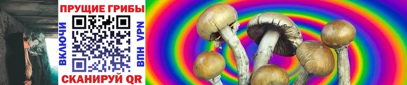 Псилоцибиновые грибы MAGIC MUSHROOMS  цены   Костерёво 